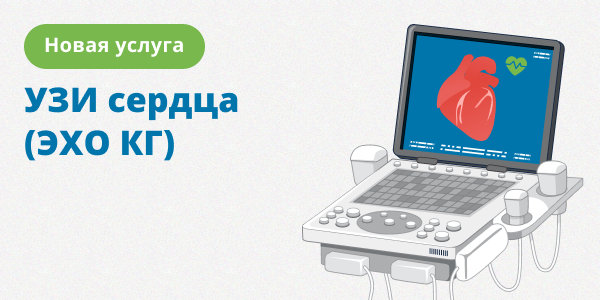 УЗИ сердца (ЭХО КГ) (1).png